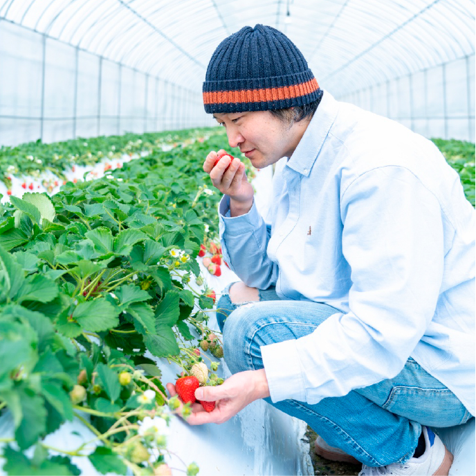 1004イメージ写真