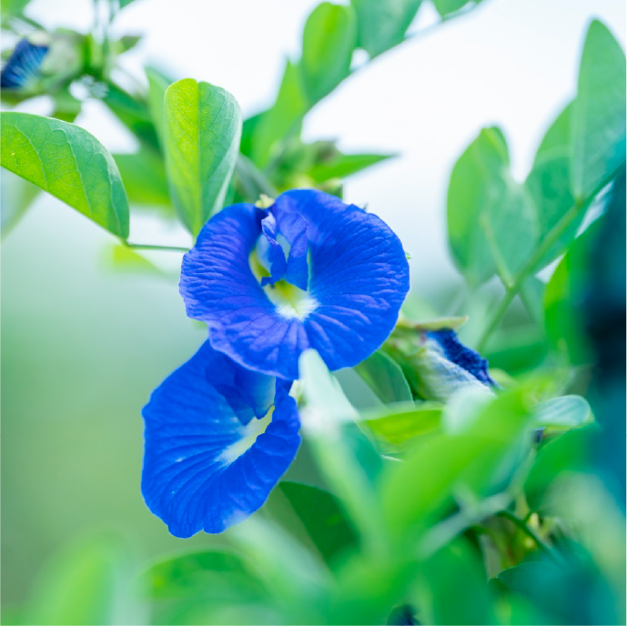 1004イメージ写真