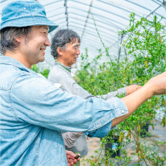 1004イメージ写真