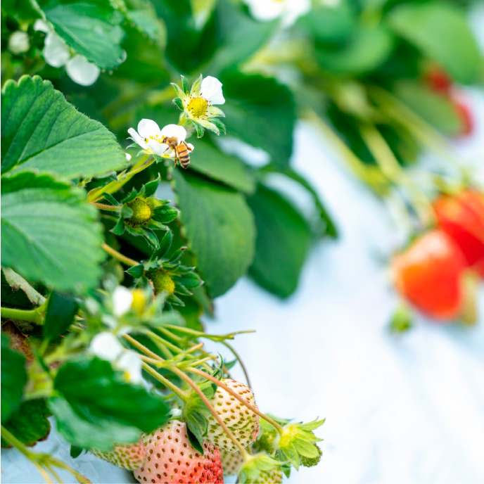 1004イメージ写真