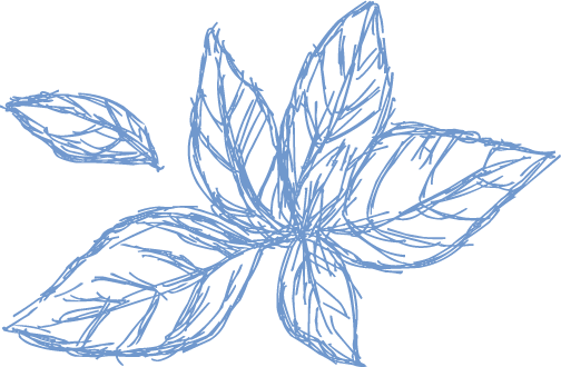 ミントのイラスト